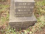 image of grave number 432561